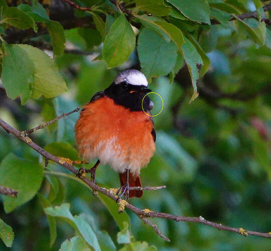 DSC02591
