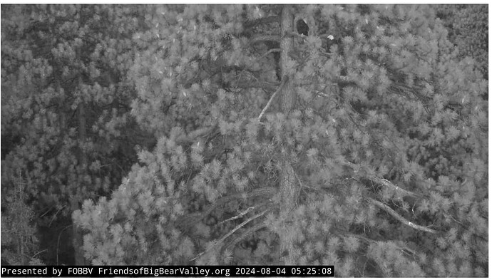 Screenshot 2024-08-04 191108