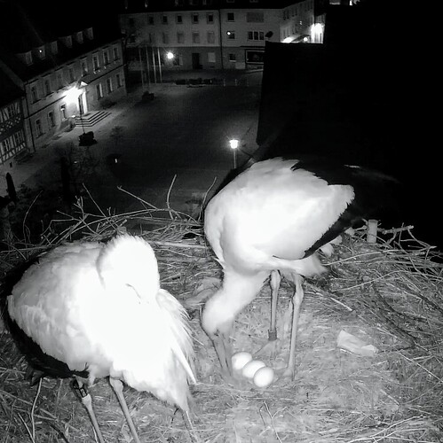 Screenshot_2025-03-24-22-42-19-532_com.android.chrome