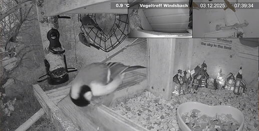 Snap_2025.12.03_07h49m39s_001_