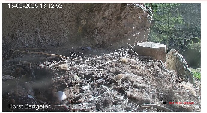 Screenshot_20260213-131356~2