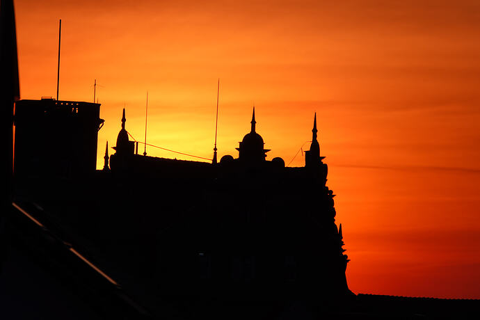 DSC02907