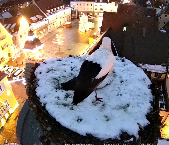 Screenshot_20231205-165427~2