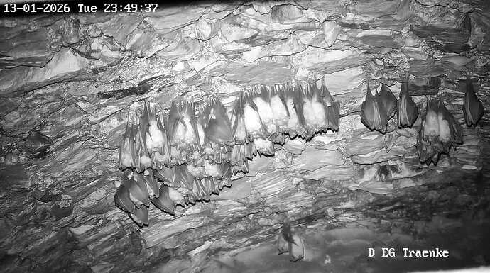 2026-01-13_13 ab 23.00 mgl Paarung