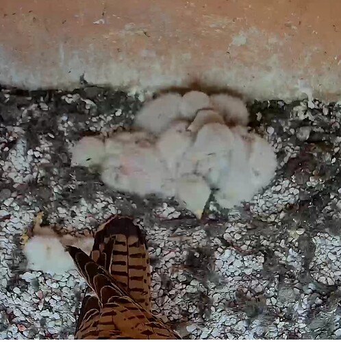 Screenshot_20240524-124907~2