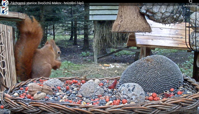 Snap_2022.11.18_09h40m12s_003_