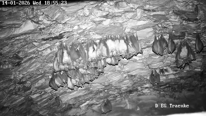 2026-01-14_2 ab 18.00 2 Kugeln