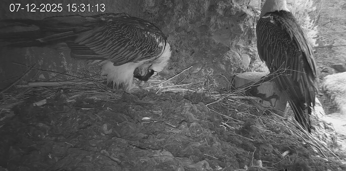 Screenshot_20251207-153216~2