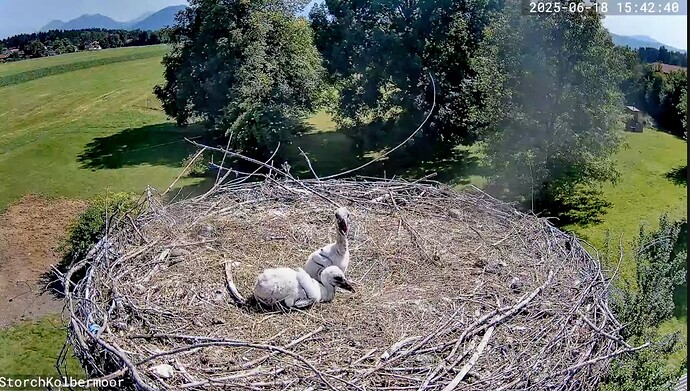 Screenshot_2025-06-18-15-43-13-133_com.google.android.youtube