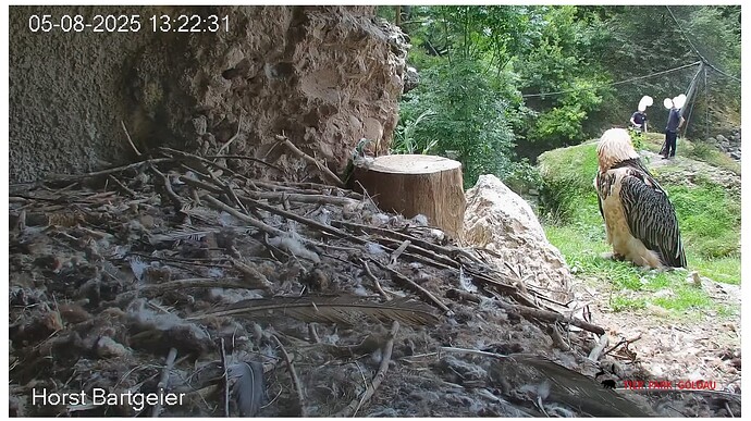 Screenshot_20250805-132337~3