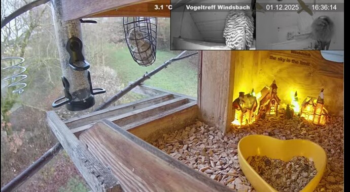 Screenshot_20251201_163634_Samsung Internet