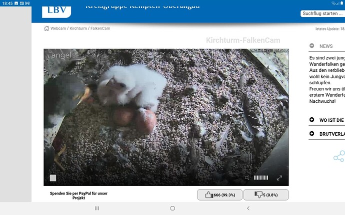 Screenshot_20230419-184526_Chrome