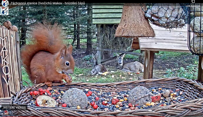 Snap_2022.11.11_15h27m58s_002_