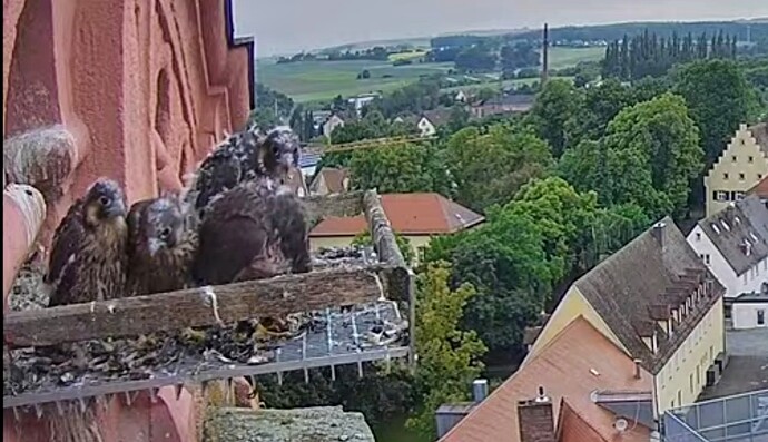 Screenshot_2025-05-26-06-15-13-865_com.google.android.youtube