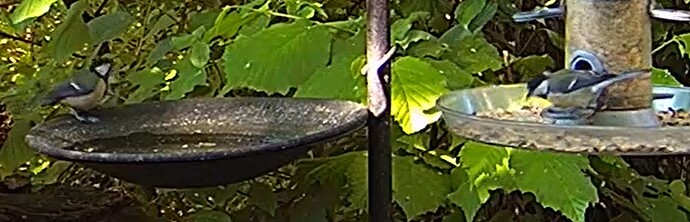 Kohlis 14.05.25