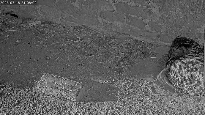 Screenshot_20260318_213604_YouTube