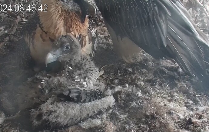 Putzen wie ein Großer 22.04.24