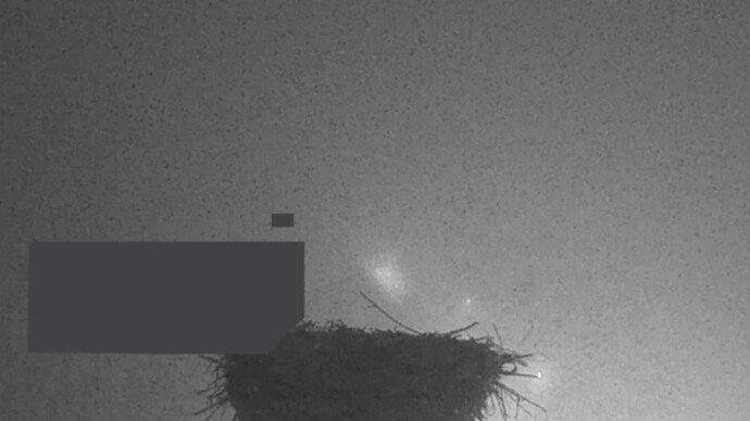 nebel