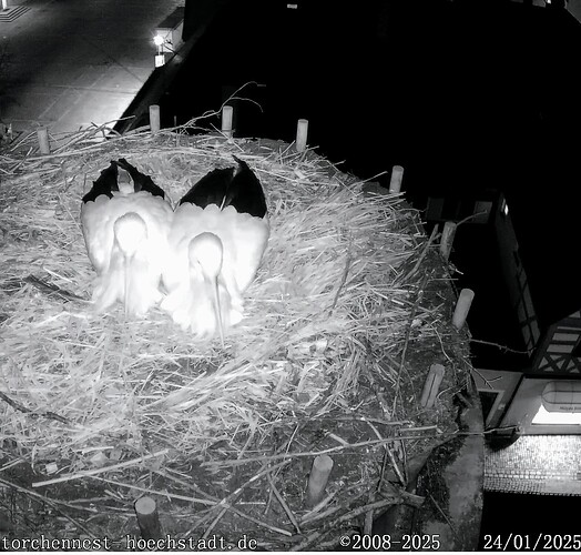 Screenshot_2025-01-24-18-07-43-915_com.android.chrome