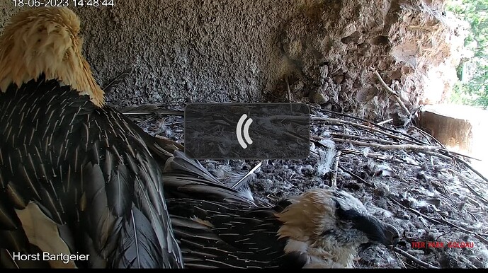 Screenshot_20230618-145003~2