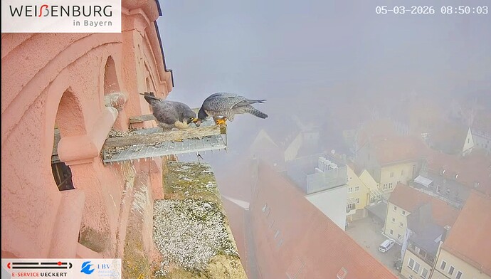 Screenshot_2026-03-05-09-23-45-203_com.google.android.youtube~2