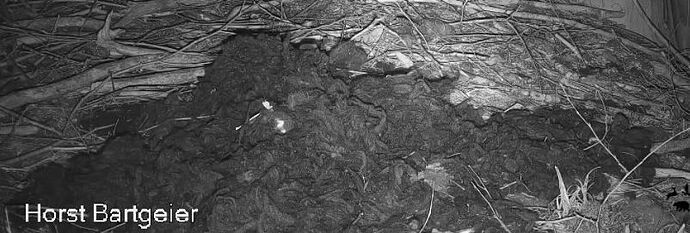 Snap_2025.11.12_17h28m31s_007_