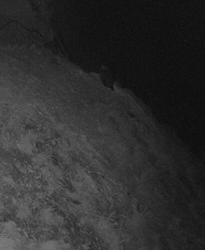 Screenshot_20230624-224902_Chrome