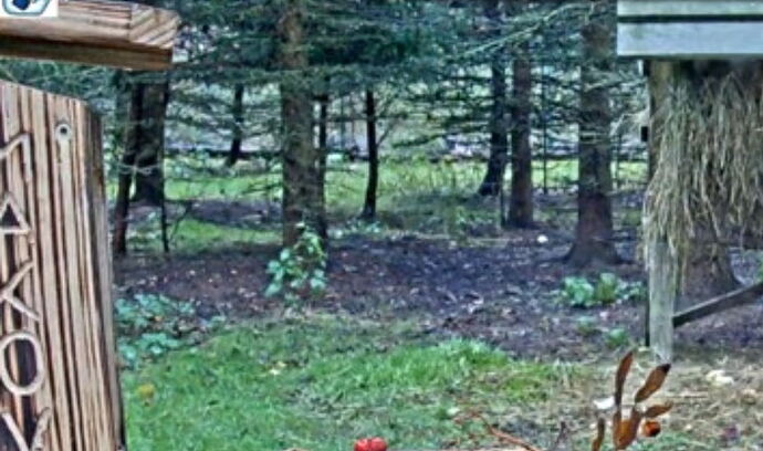 Snap_2022.11.18_15h46m33s_005_