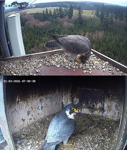 Screenshot_20260301_073449_Gallery