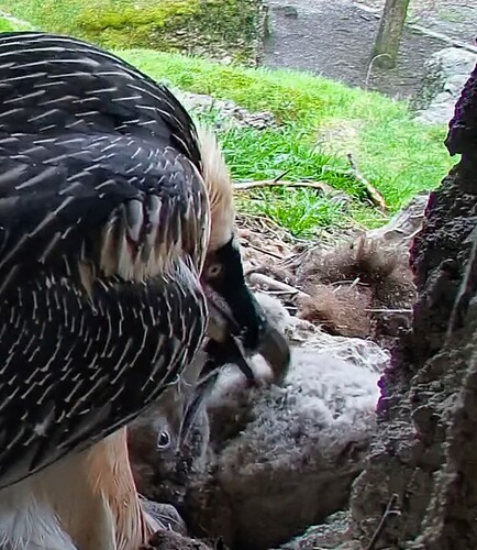 Screenshot_2025-03-29-12-28-36-262_com.android.chrome