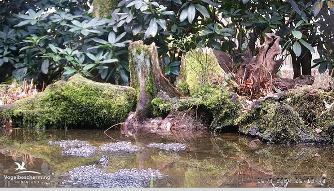 Snap_2024.03.16_16h14m25s_007_