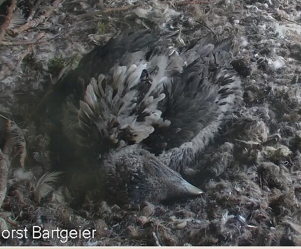 Bin so erschöpft 03.05.24