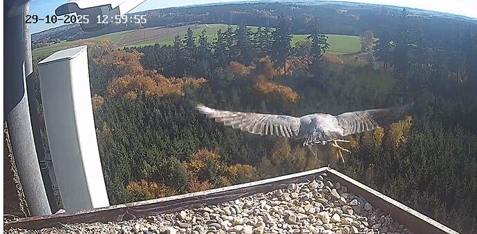 Screenshot 2025-10-29 120208