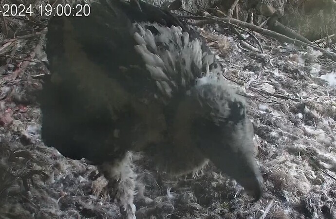 zu den Eltern gehen 30.04.24