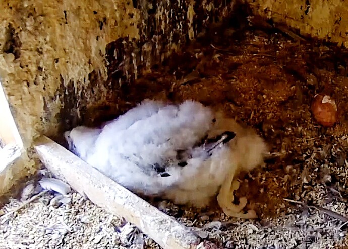 Screenshot_20230514-110846-01