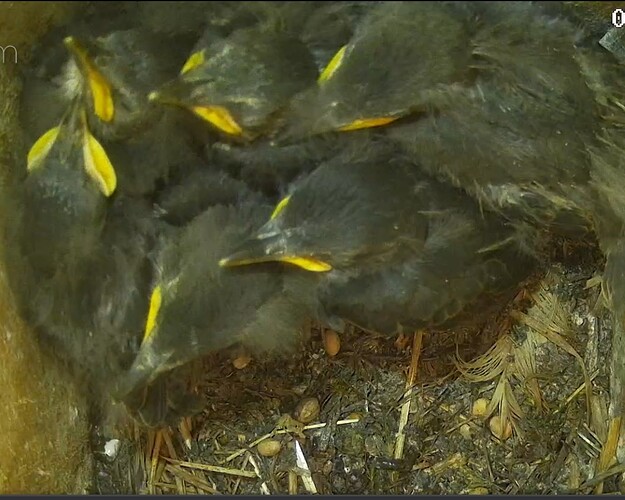 Screenshot_20240608-212430_Chrome