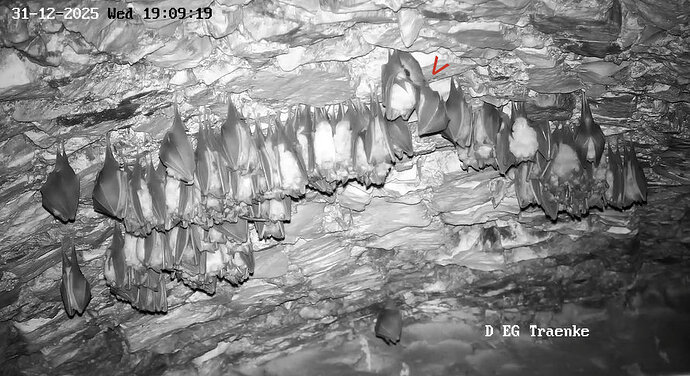 2025-12-31 ab 19.00_8 oberste Hufi verläßt den Hangplatz