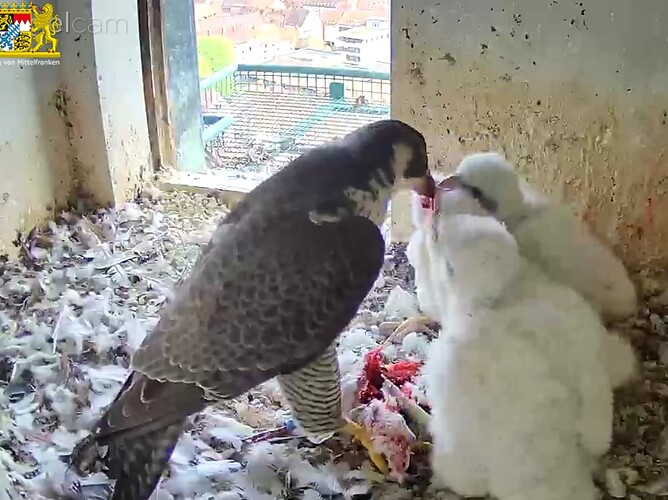 Screenshot_20230422-175951~2