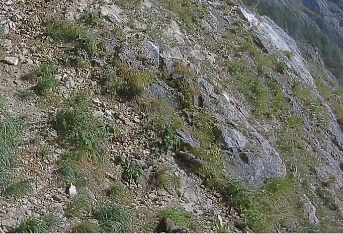 Screenshot_20230625-081147_Chrome