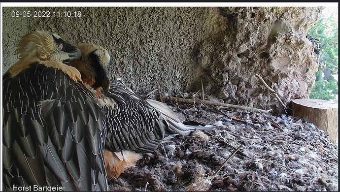 Screenshot 2025-10-28 161150