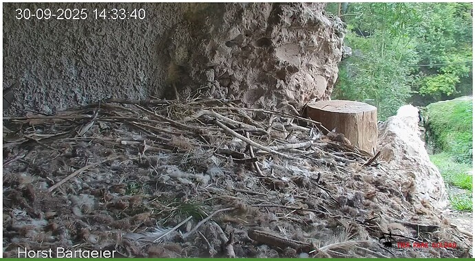 Screenshot_20250930-143449~2