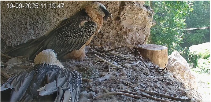 Screenshot_20250919-112056~2