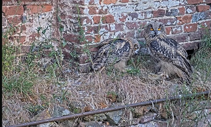 Screenshot_20250609_210213_YouTube