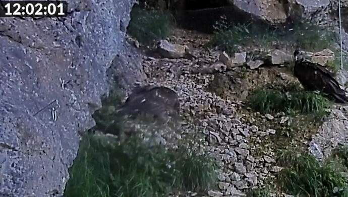 Screenshot_2024-06-29-12-02-20-165_com.android.chrome