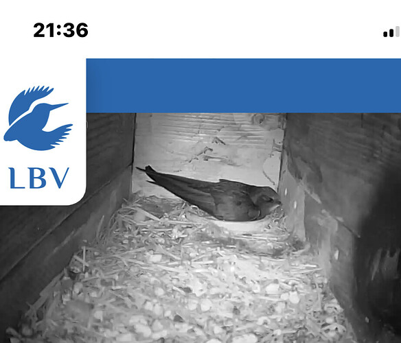IMG_9195