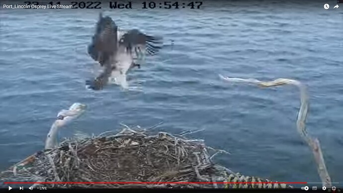 os3_221123_Zoe_flight1