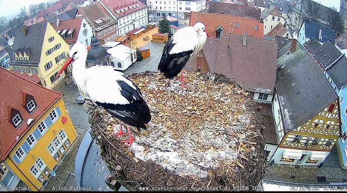 Screenshot_2023-12-09-08-39-18-857_com.android.chrome