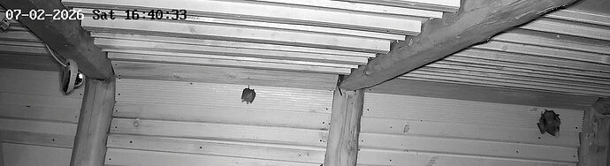 2026-02-7_3 ab 16.00  sechs Hufi in WG