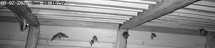 2026-02-8_2 ab 18.00 Hufis in WG