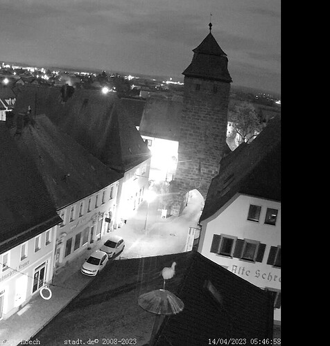Bild